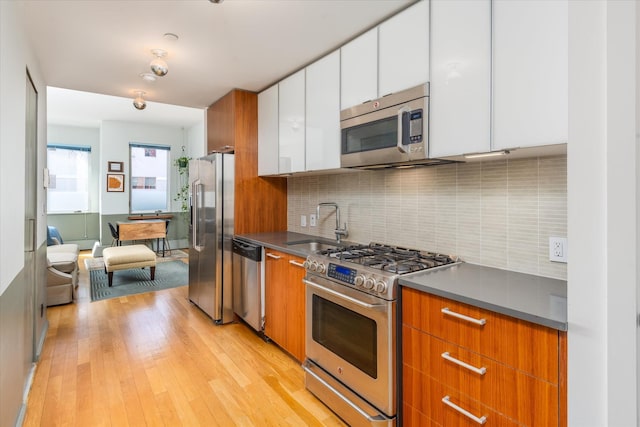 kitchen featuring light wood finished floors, a sink, backsplash, stainless steel appliances, and modern cabinets