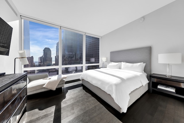 bedroom with floor to ceiling windows, a city view, and dark wood finished floors