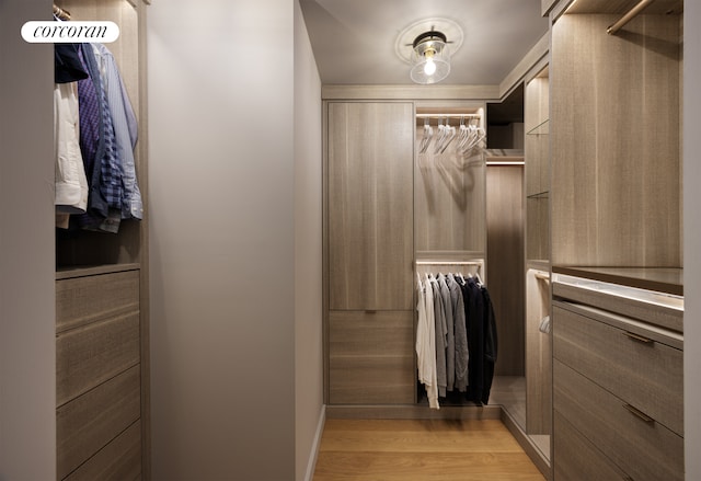 spacious closet with light wood-type flooring