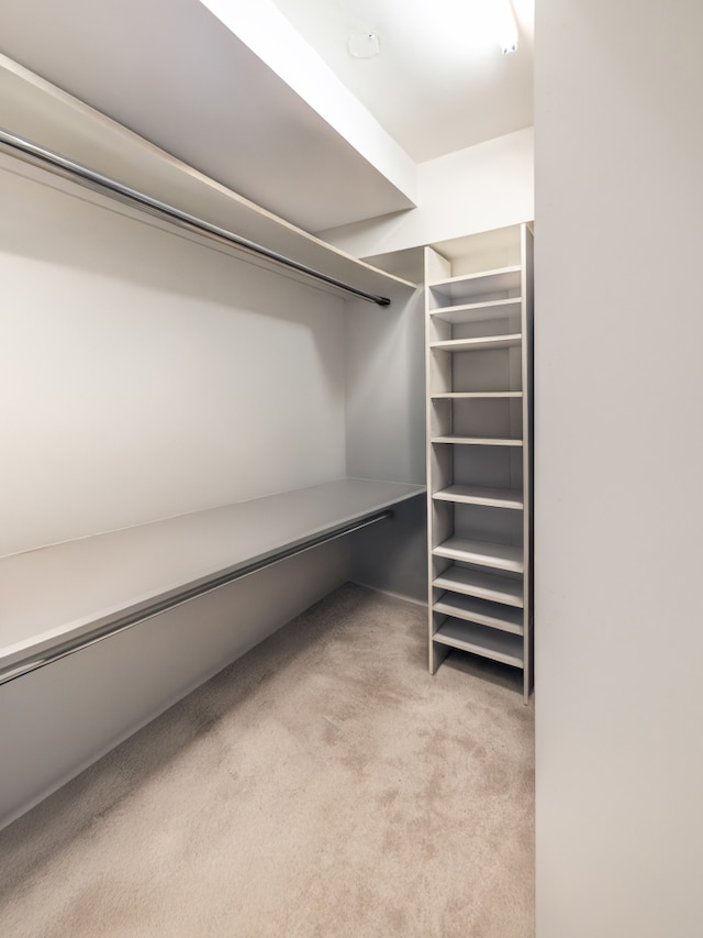 spacious closet with light colored carpet