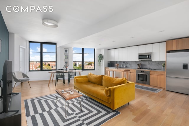 living room with light wood-style floors and baseboards