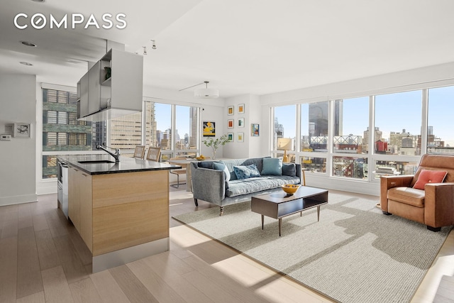 living area featuring baseboards, wood finished floors, and a city view