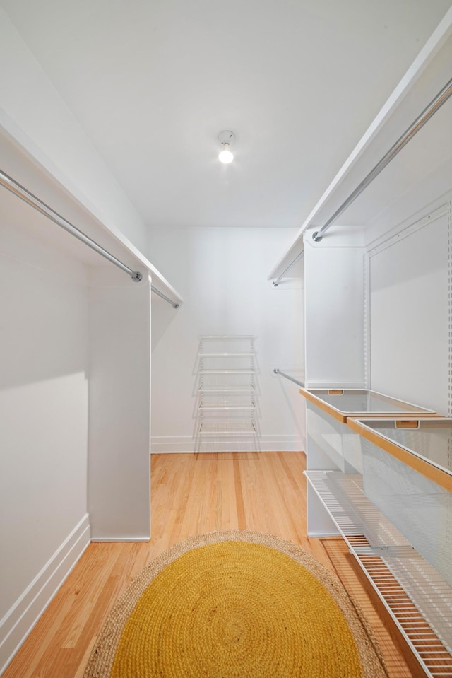 walk in closet featuring wood finished floors