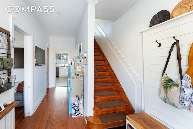 staircase featuring wood finished floors and crown molding