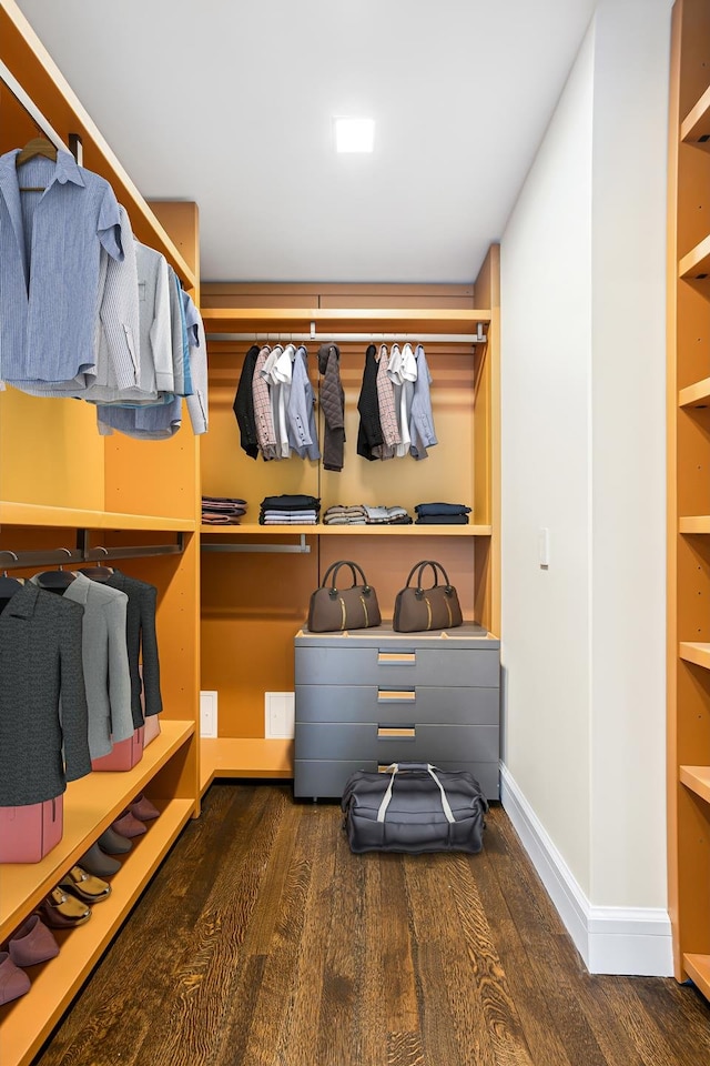 spacious closet featuring wood finished floors