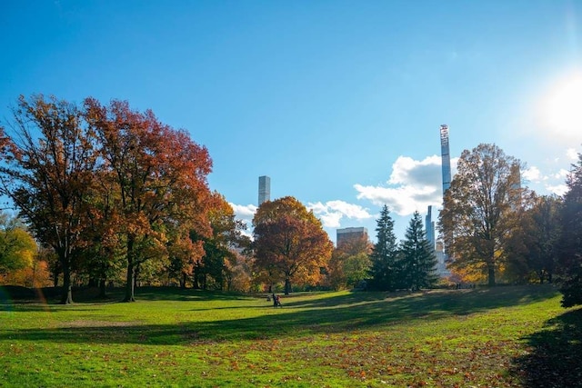 surrounding community featuring a lawn