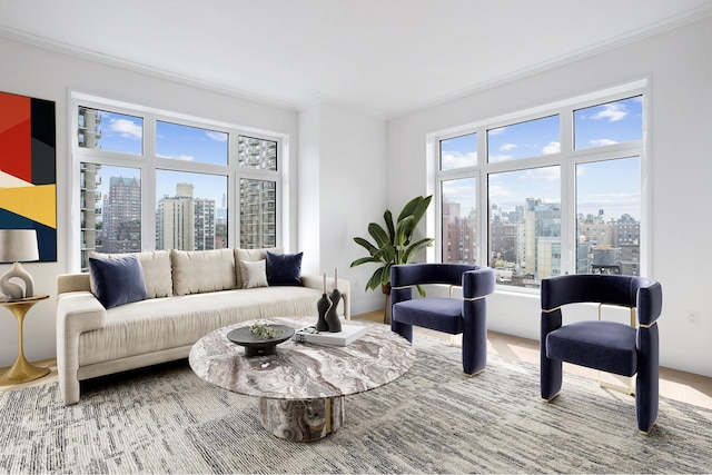 living room featuring a view of city and ornamental molding