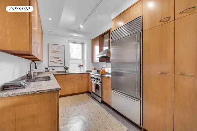 kitchen with wall chimney range hood, light stone countertops, a sink, rail lighting, and premium appliances