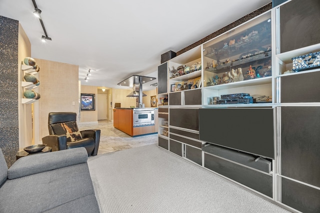 75 E End Ave Unit 19C, New York City, NY 10028 - living room featuring rail lighting and light colored carpet