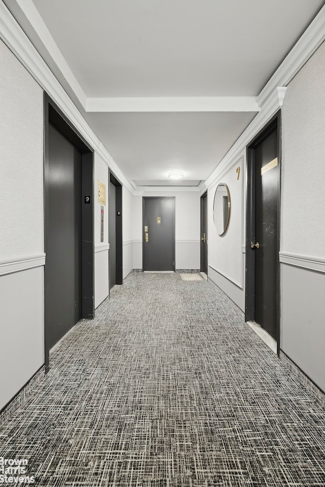 empty room with elevator and carpet floors
