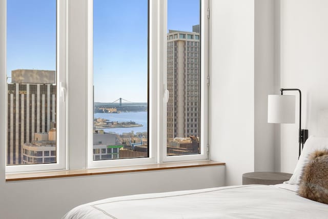 bedroom featuring a water view and multiple windows