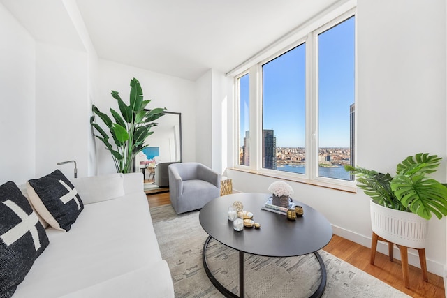 living area with light wood finished floors, a city view, and baseboards