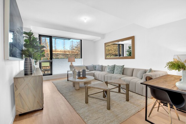 24 Huntington St, New York City, NY 11231 - living area with light wood-type flooring