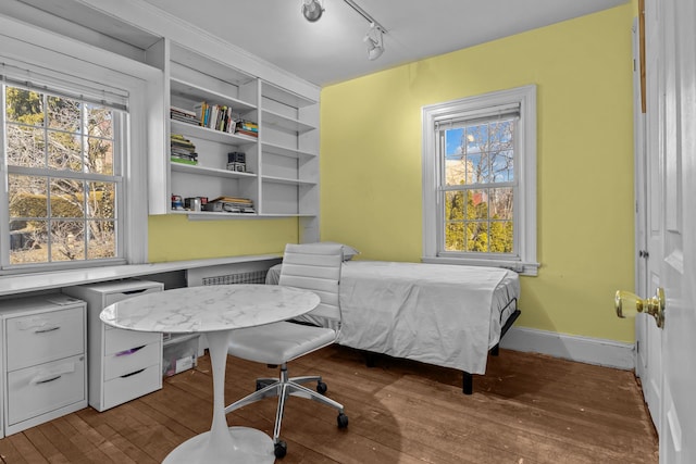 bedroom featuring dark wood finished floors, multiple windows, rail lighting, and baseboards