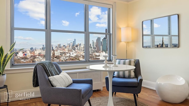 sitting room with a view of city, baseboards, and wood finished floors