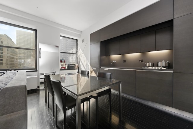 dining room featuring dark wood-type flooring