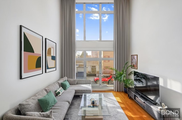 living room featuring a high ceiling and wood finished floors