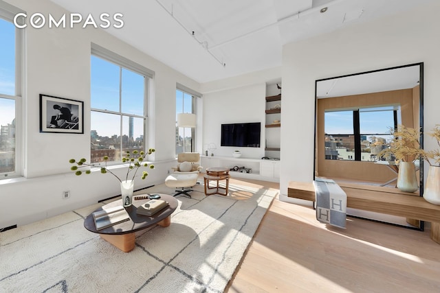 living room featuring plenty of natural light and wood finished floors