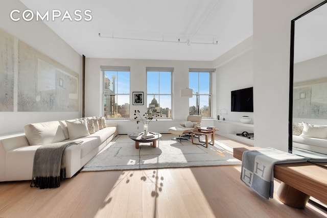 living room featuring wood finished floors