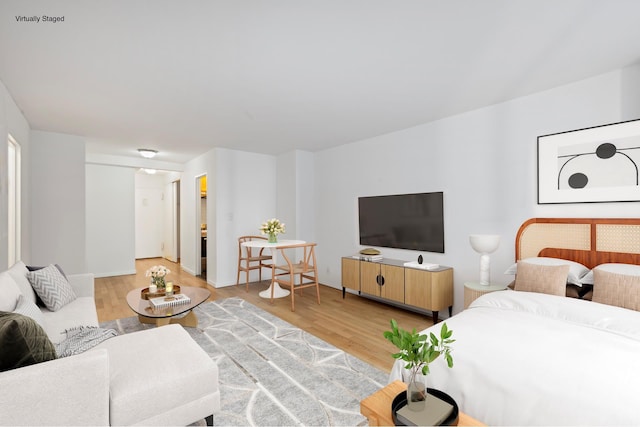 living area featuring light wood-style floors