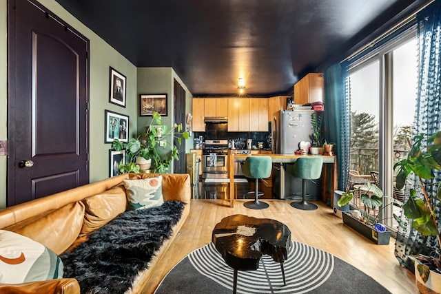 living area featuring light wood-style flooring