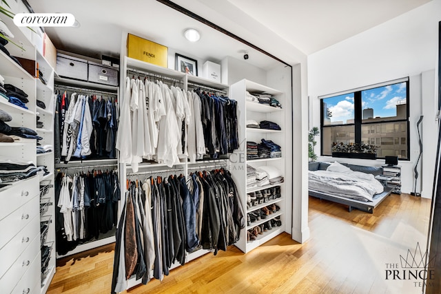 walk in closet featuring wood finished floors