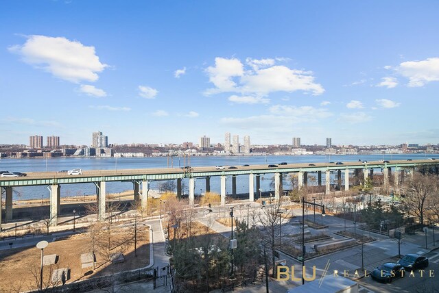 view of water feature with a city view