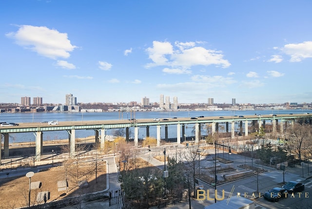 120 Riverside Blvd Unit 6-H, New York City, NY 10069 - water view with city skyline