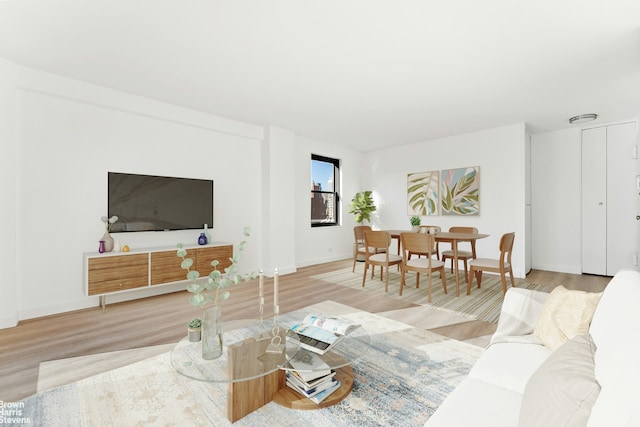 living room featuring baseboards and wood finished floors