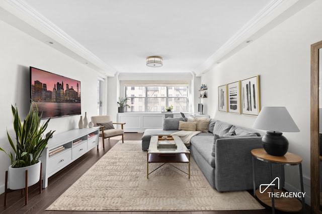 living area featuring crown molding and dark wood-style flooring