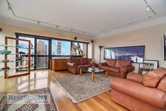 living room featuring crown molding, track lighting, and hardwood / wood-style flooring