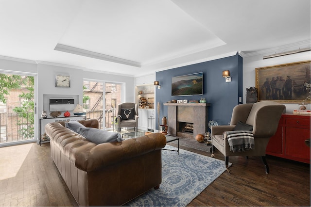 living area with a premium fireplace, a raised ceiling, wood finished floors, and ornamental molding