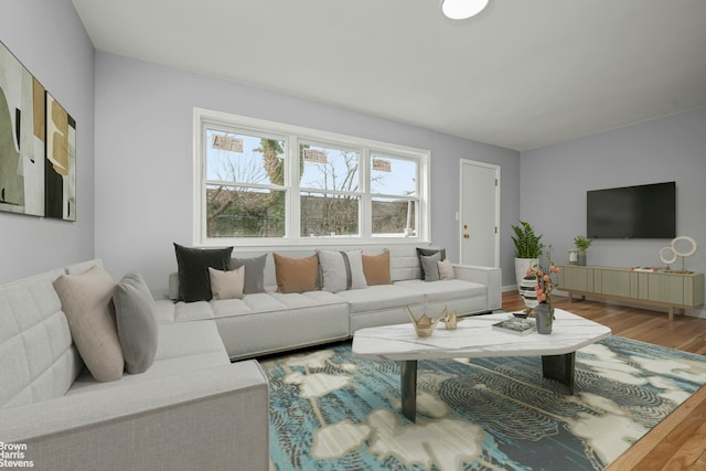 living area featuring wood finished floors