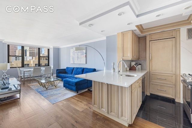 kitchen with open floor plan, light countertops, crown molding, light brown cabinets, and a sink