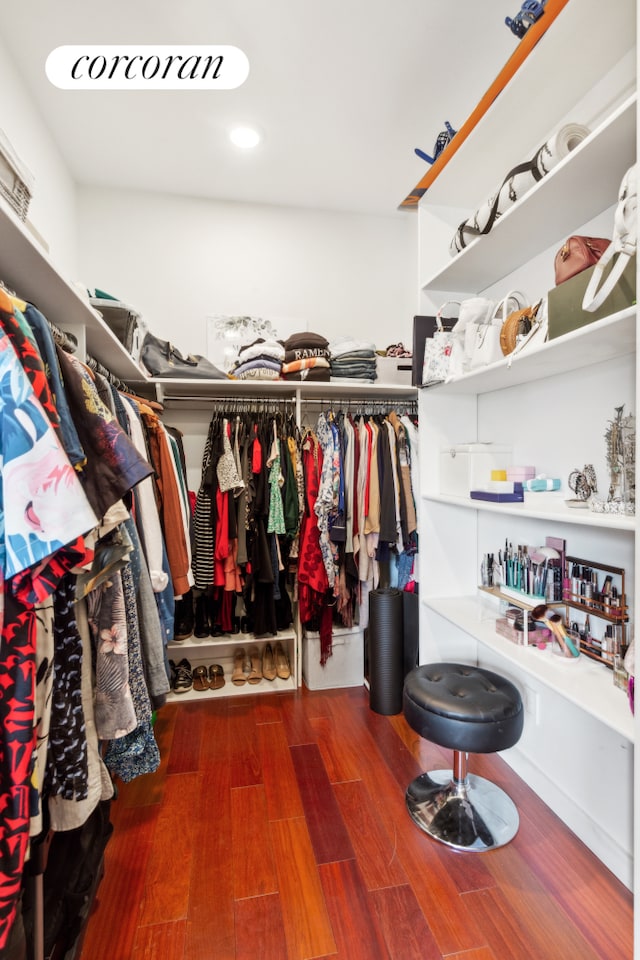 walk in closet featuring wood finished floors