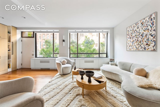 living room with light wood-style floors and a wealth of natural light