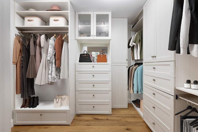 spacious closet featuring light wood-style floors