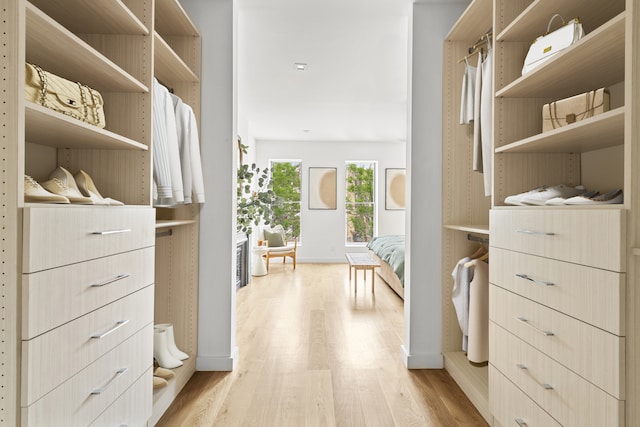 walk in closet featuring light wood finished floors