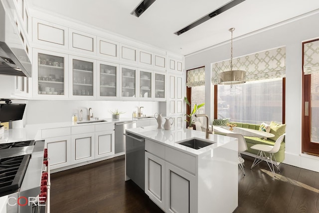 kitchen with stainless steel appliances, dark wood-style flooring, a sink, and under cabinet range hood