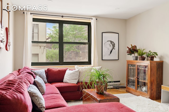 living room featuring wood finished floors