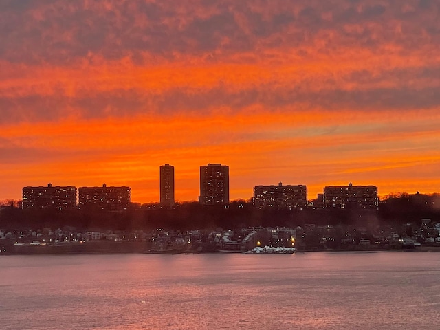 156-08 Riverside Dr W Unit 3H, New York City, NY 10032 - water view with a view of skyline