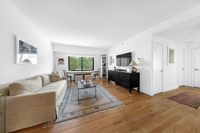 living room featuring wood finished floors