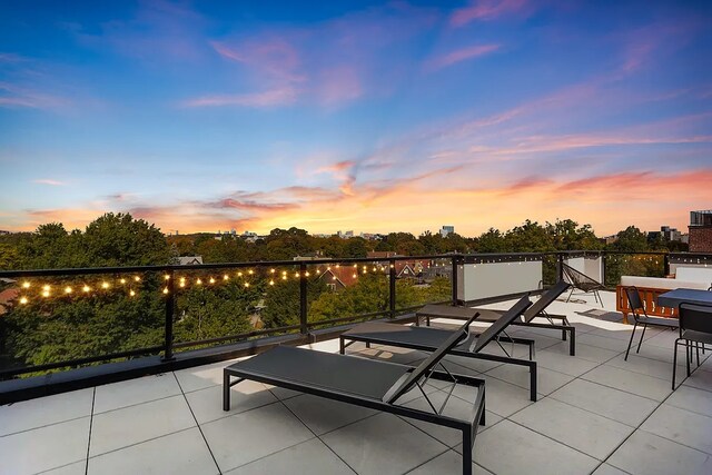1702 Newkirk Ave Unit 5A, New York City, NY 11226 - patio terrace at dusk with a patio area