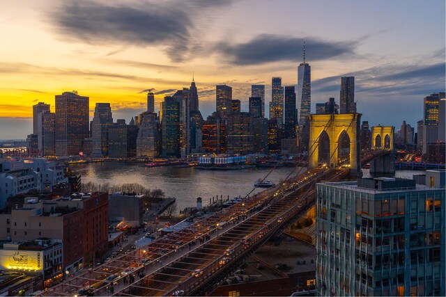 30 Front St Unit 21A/D, New York City, NY 11201 - city view with a water view
