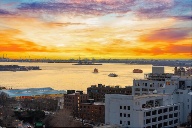 30 Front St Unit 21A/D, New York City, NY 11201 - view of water feature featuring a city view