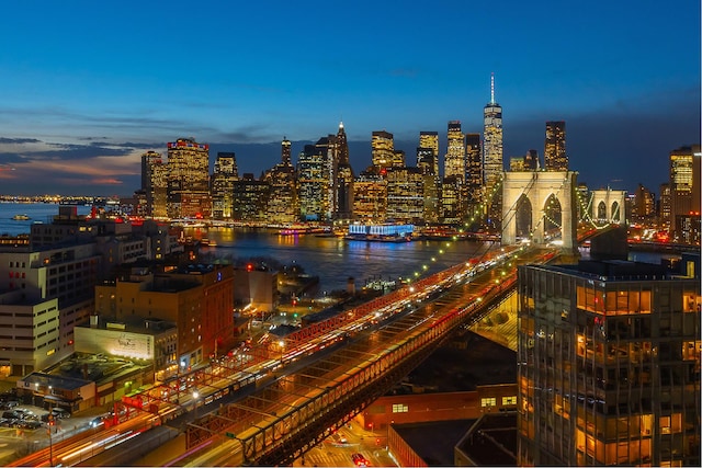30 Front St Unit 21A/D, New York City, NY 11201 - bar featuring a sink, tasteful backsplash, wet bar, light wood-style flooring, and floor to ceiling windows