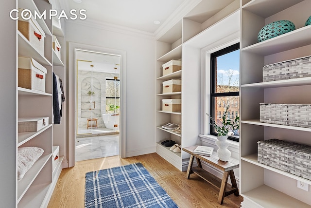 interior space with baseboards, wood finished floors, and crown molding