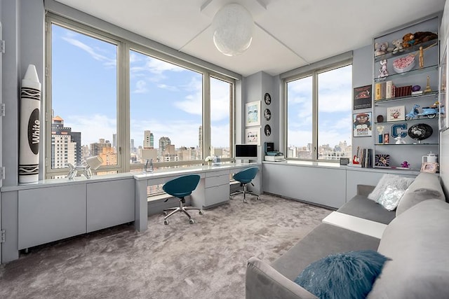 office area featuring carpet floors