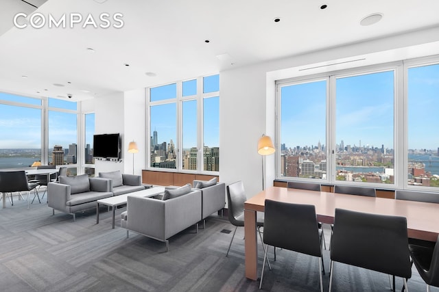 388 Bridge St Unit Ph50D, New York City, NY 11201 - living room with carpet flooring