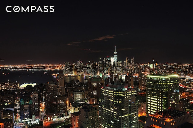 388 Bridge St Unit Ph50D, New York City, NY 11201 - view of city with a view of city lights